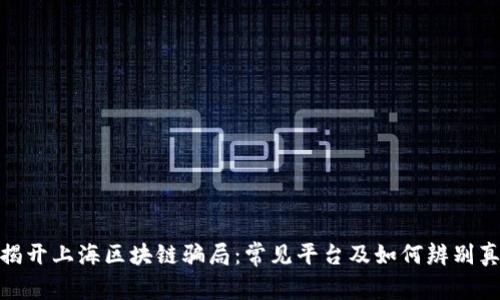 : 揭开上海区块链骗局：常见平台及如何辨别真伪