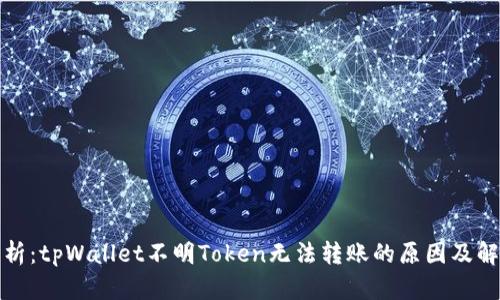 全面解析：tpWallet不明Token无法转账的原因及解决方案