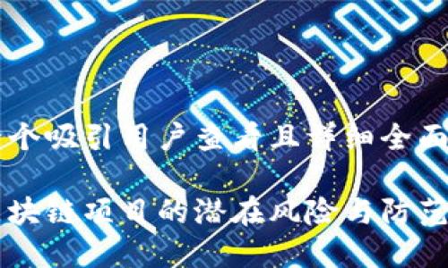 思考一个吸引用户查看且详细全面的优秀

高危区块链项目的潜在风险与防范指南