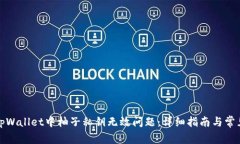 如何解决tpWallet中柚子私钥无效问题：详细指南与