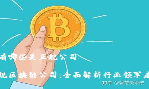 区块链有哪些是正规公司

揭秘正规区块链公司：全面解析行业领军者与前景